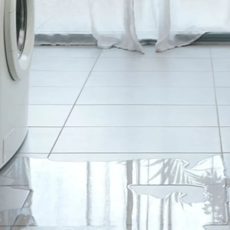 Appliance Leak Cleanup in Morrilton, AR