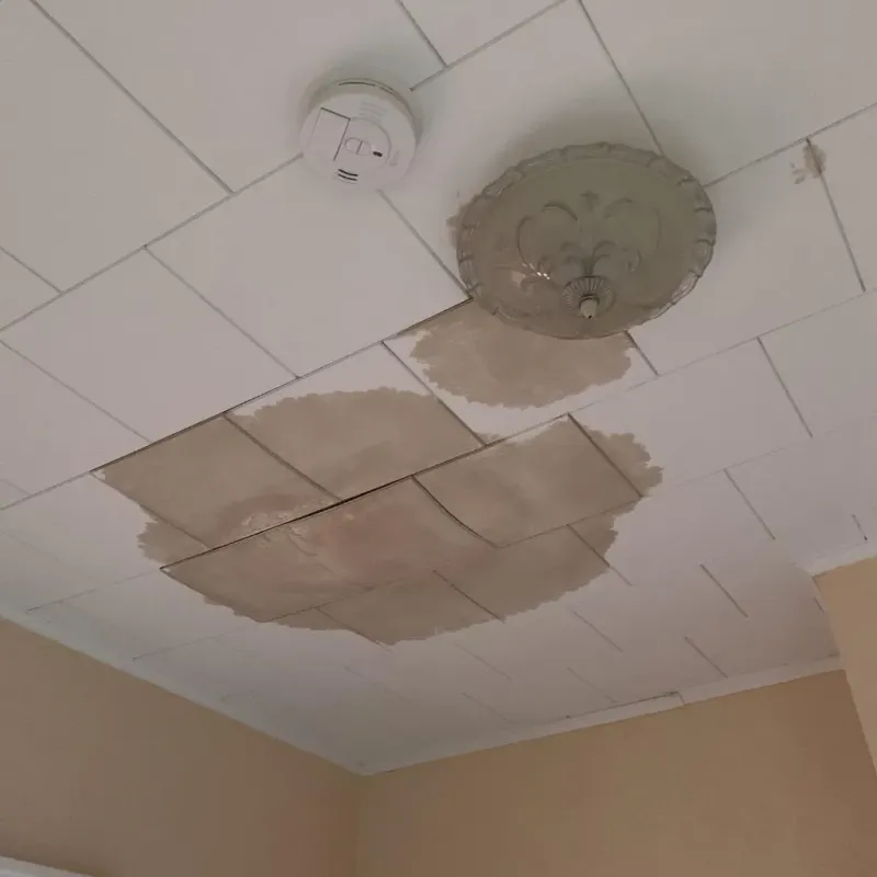 Ceiling Water Damage Repair in Morrilton, AR