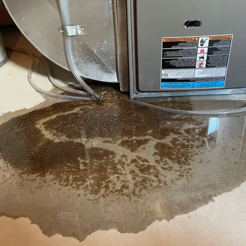 Pipe Burst and Leak Restoration in Morrilton, AR