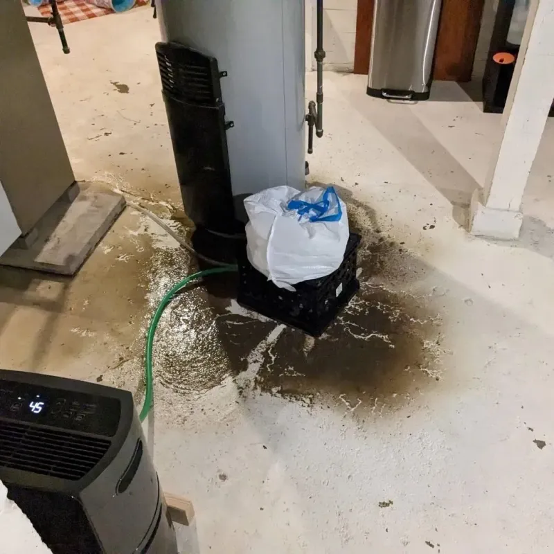Sewage Backup Cleanup Service in Morrilton, AR